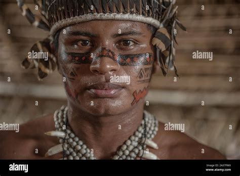 brazilian tribe  res stock photography  images alamy