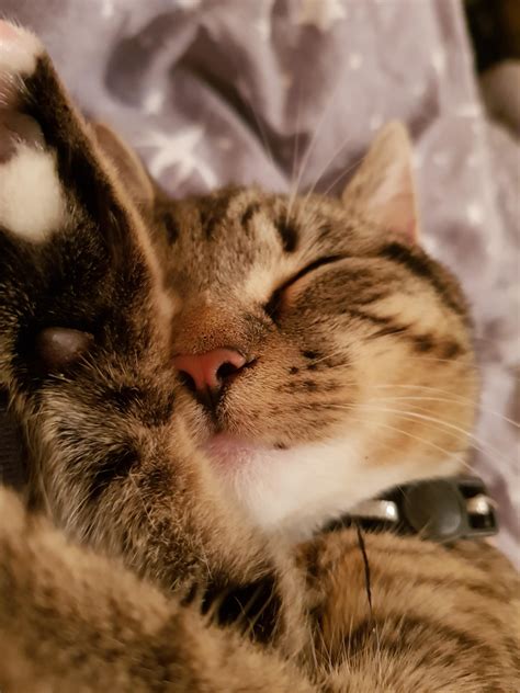 Sleepy head. : aww