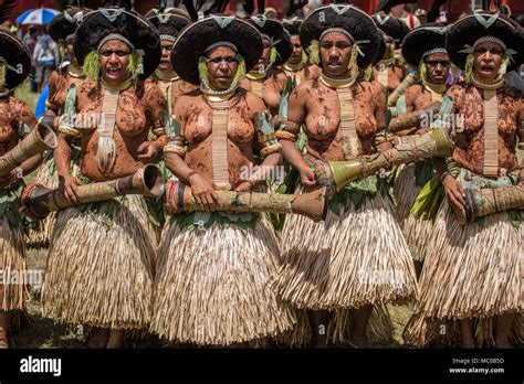 A group of Suli Muli women from Enga dancing with round human hair ...
