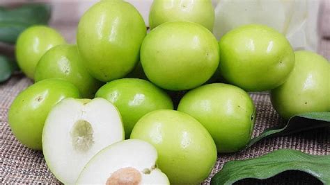 khasiat buah bidara   perlu tahu  diagnosa