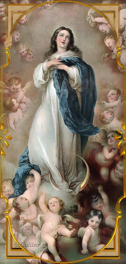 ® Virgen María, Ruega por Nosotros ®: A MARÍA INMACULADA