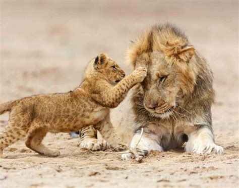 Serengeti National Park