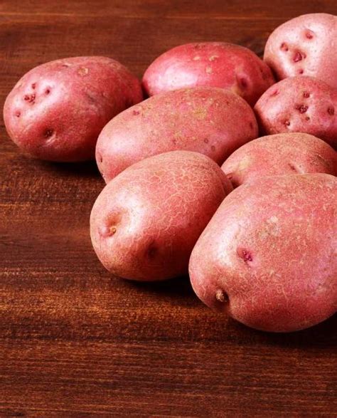 Семенной картофель Снегирь – купить в интернет-магазине Агро-Маркет24