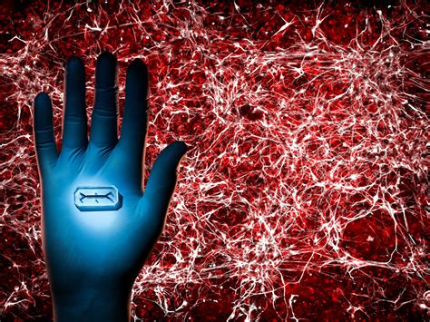 How do I donate my body to science in the U.S.? | National Geographic