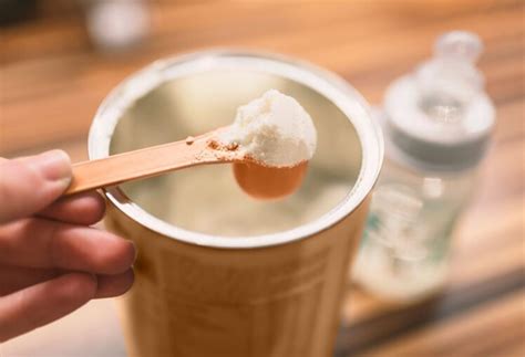 infant  toddler formula unraveling  key differences  frisky