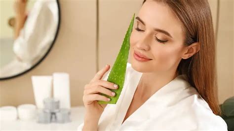 Aloe Vera as Moisturizer: Benefits, Risks, and How to Apply Properly ...