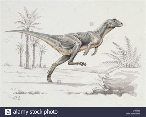 Stock Photo - Lesothosaurus | Poster prints, Stock photos, Prehistoric ...