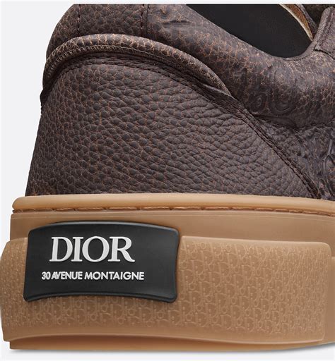 B33 Spin Sneaker Brown Grained Calfskin and Brown Dior Gravity Vintage