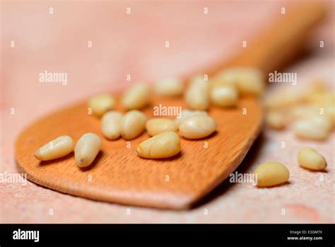 cedar seeds  res stock photography  images alamy