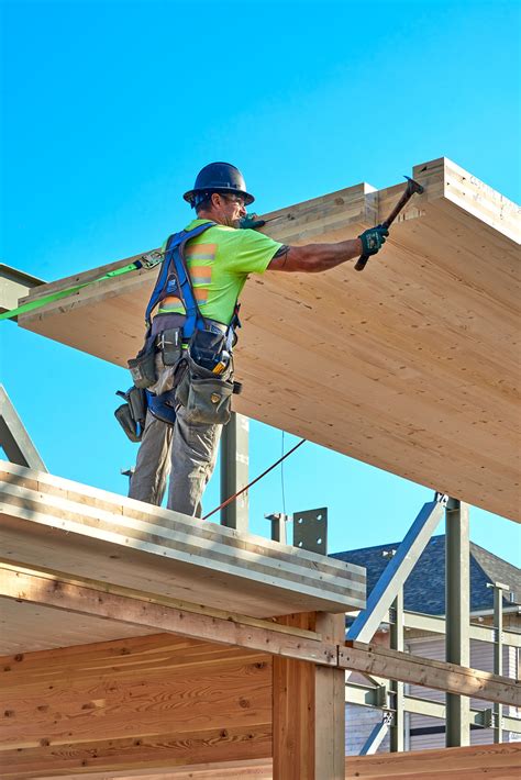 Mass Timber CLT installation at Van Asselt School! | News — Bassetti