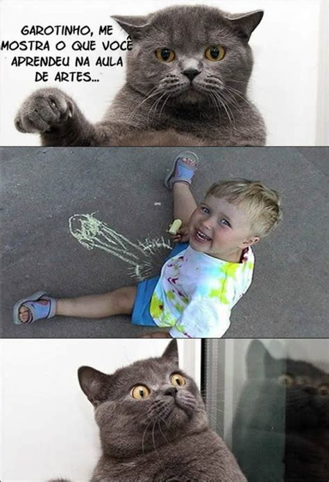 graus mcz  imagens engracadas