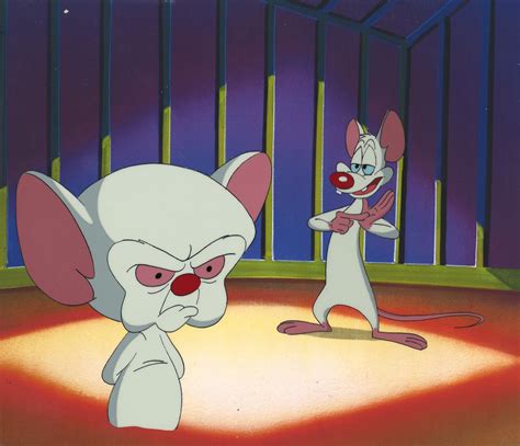 Pinky and the Brain Das Mouse