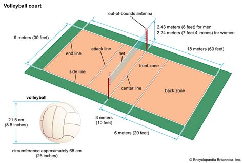 official volleyball court dimensions