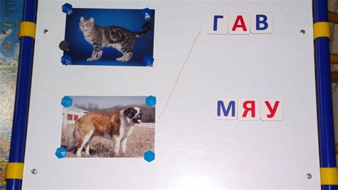 Игры с магнитной азбукой — 4 ответов | форум Babyblog