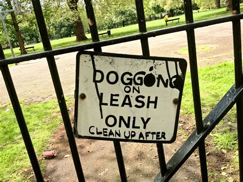 The Pandemic Cancelled Most Social Events But Dogging Enjoyed a Surge