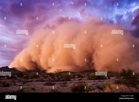 Haboob dust storm in the desert at sunset near Tacna, Arizona Stock Photo - Alamy