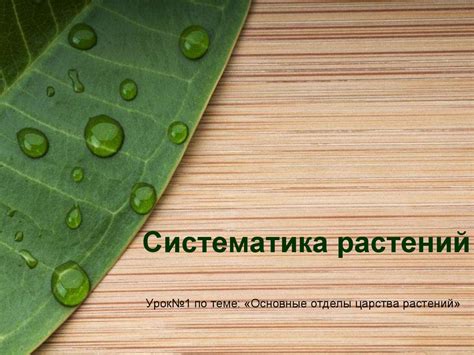 Систематика растений - презентация онлайн
