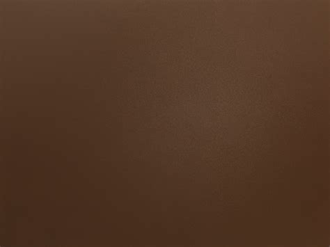 brun forbannelse strommen greyhounds