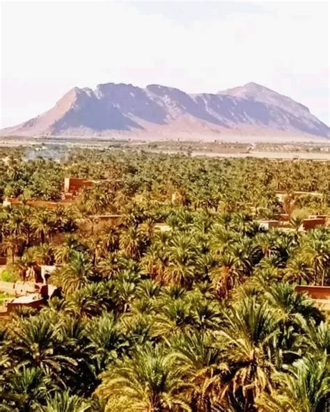 Morocco Stars Travel