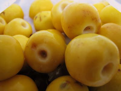 gastronomia  libreta abierta  nanche