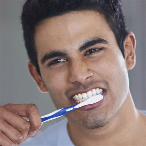 membuat nafas segar  wangi closeup