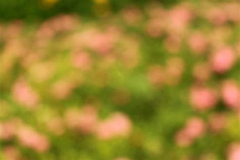 Blurry flower background 1990342 Stock Photo at Vecteezy