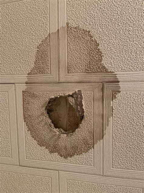 Ceiling Leaking and Moldy : r/Renovations