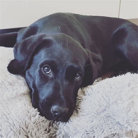 Newest member of our family : aww