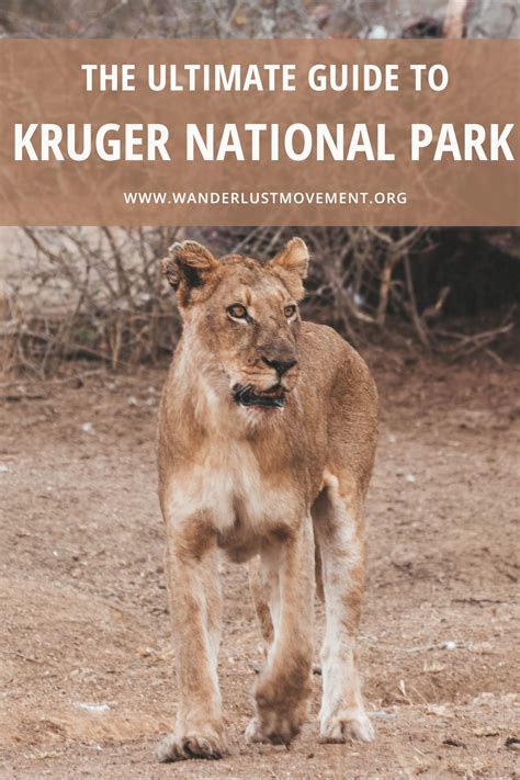 Visiting kruger national park everything you need to know – Artofit