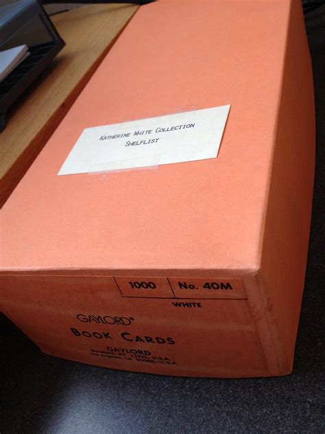 Willow Katherine White career news is impacting her social following 7