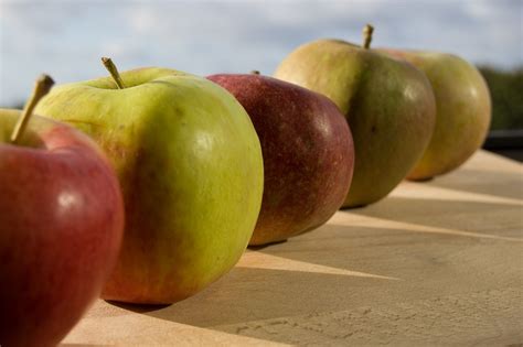 Apple Apples - Free photo on Pixabay