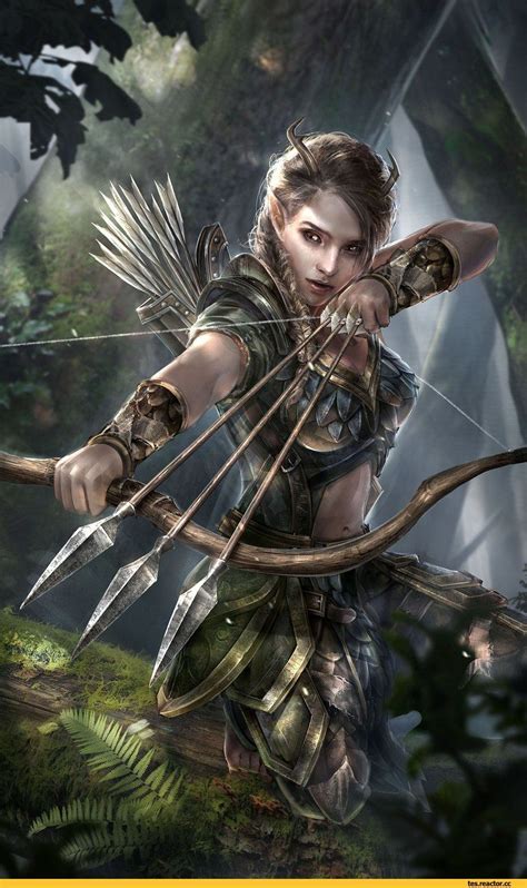 The Elder Scrolls,фэндомы,The Elder Scrolls Legends,Имперский город ...