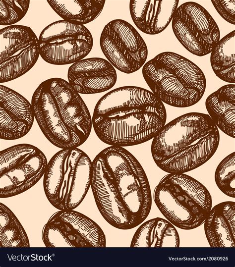 Coffee beans Royalty Free Vector Image - VectorStock
