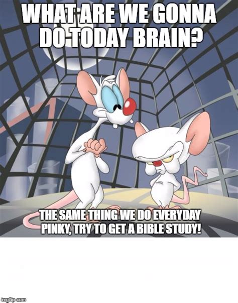 Pinky and the brain - Imgflip