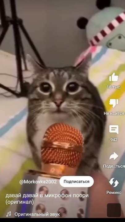 когда китикет# решил стать#артистом# - YouTube