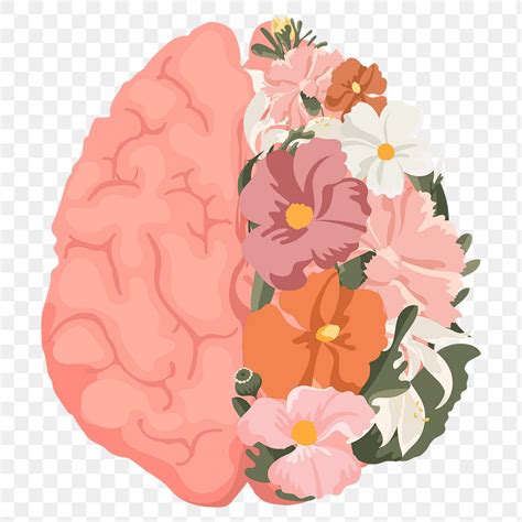 mental health brain images   png stickers wallpapers