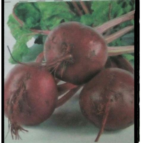 manfaat buah bit akusuka