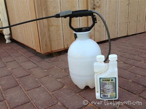 pest control    pest control