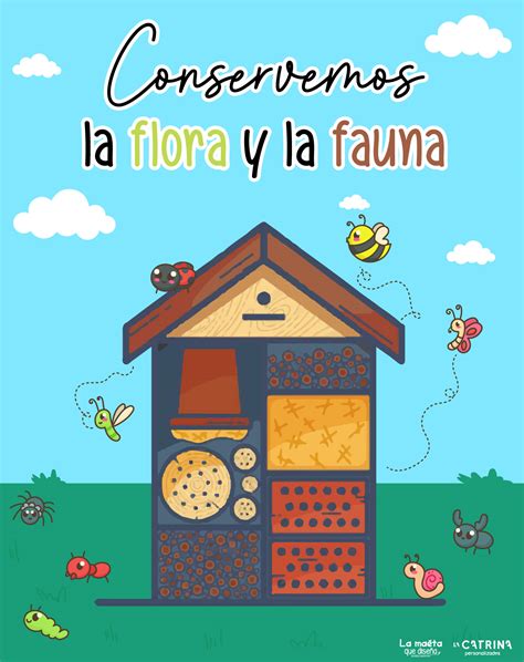 La maeta que diseña