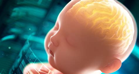 chemical structure  physical properties  arachidonic acid factory