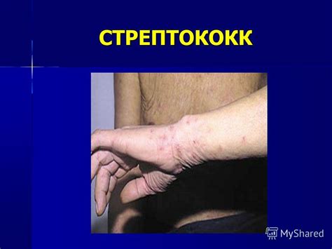Презентация на тему: "«ЗНАТЬ, ЧТОБЫ ЖИТЬ!» (067) ". Скачать бесплатно и ...
