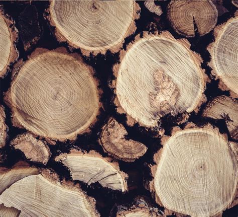 nicolemnartcom   wood  europe