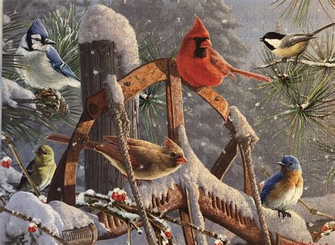 Fresh Snowfall - Buffalo, 1000 pieces : r/Jigsawpuzzles