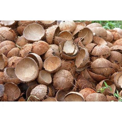 raw coconut shell  rs kilogram adyar chennai id