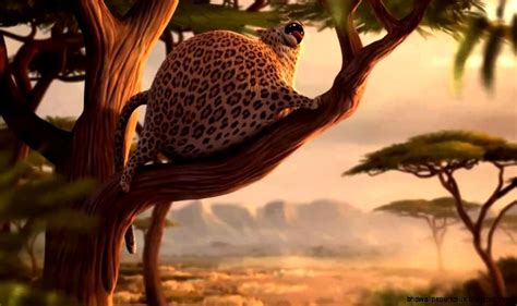 fat animals pictures