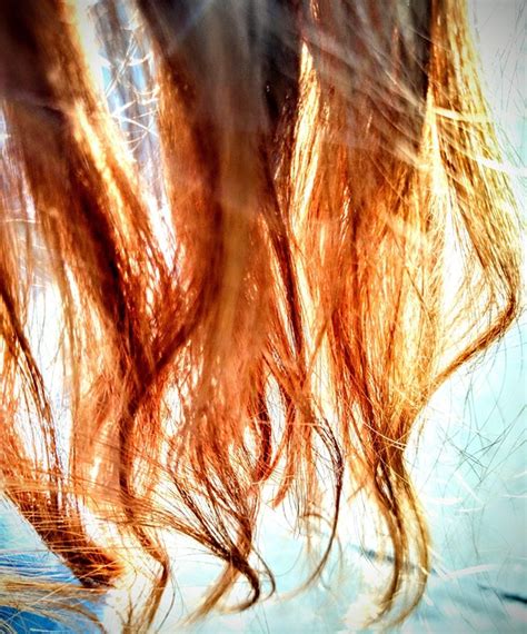 hair pelo cabello  photo  pixabay