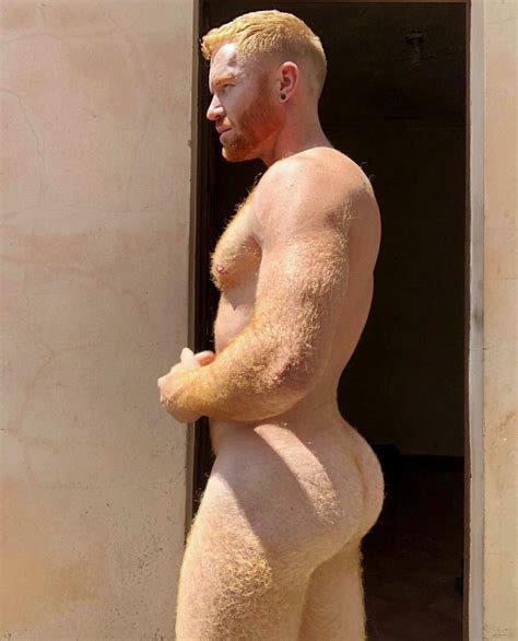 Photo - Offensively hairy muscly men 