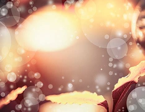 bokeh blurred blur  photo background  picture