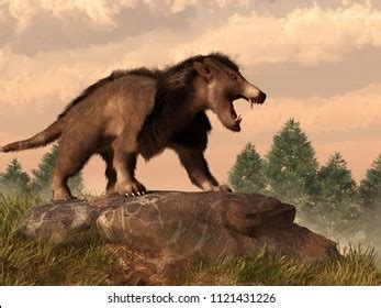 3 Early Paleocene Images, Stock Photos & Vectors | Shutterstock