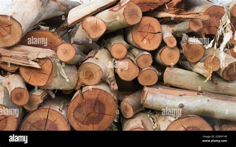 Log of firewood cut and stacked for use. Wallpaper Stock Photo - Alamy